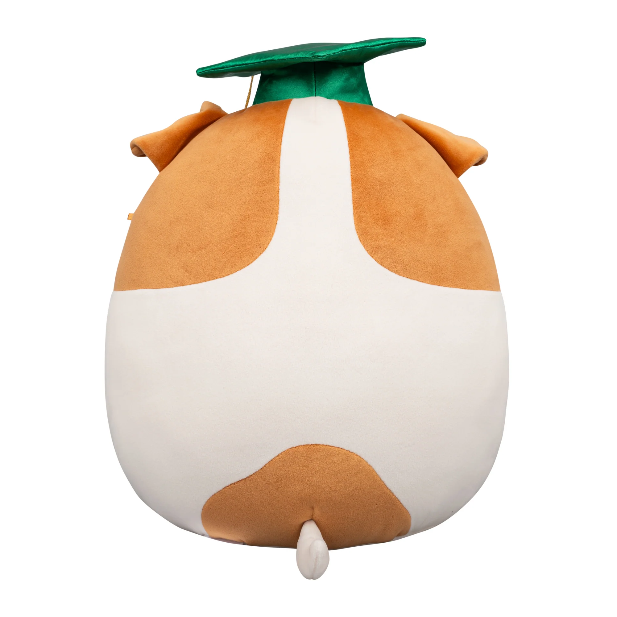 12-Inch Brenden the Jack Russell Terrier in Graduation Cap - Image 4